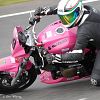member's avatar