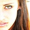 member's avatar