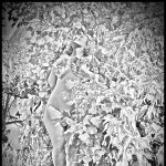 La Dame aux camélias