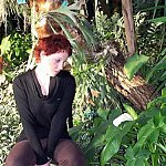 Tropicale