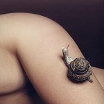 Rêve d'escargot