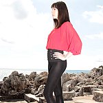 Model