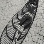 OliviaJane_IMG_20230205_135104