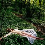 Un parterre de verdure
