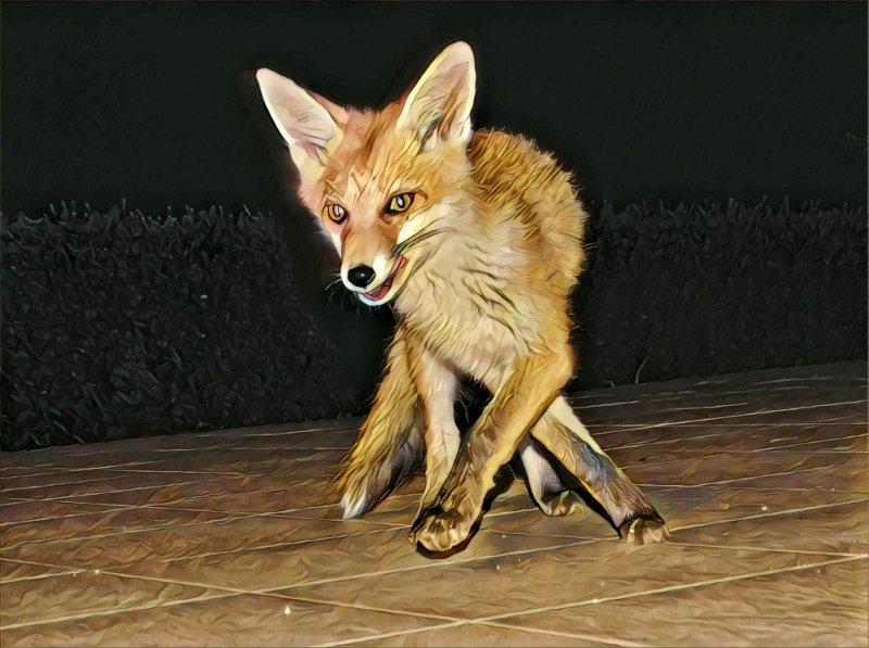 Codazur_IMG_0364