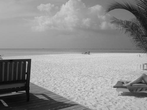 Maldive 3