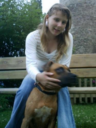 Amstaff