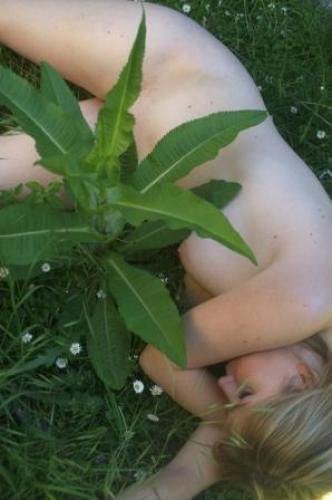 La plante verte