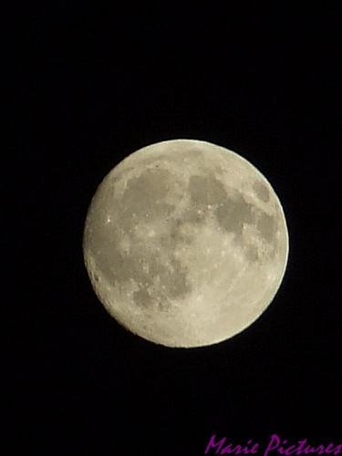 lune