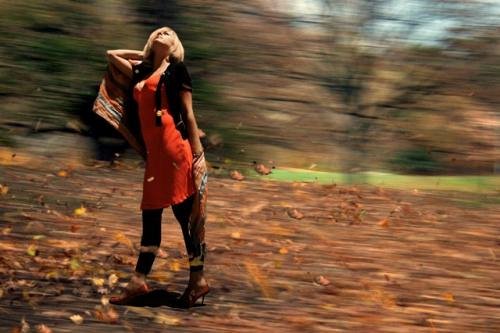 Automne a central park