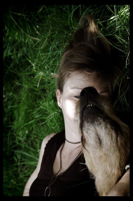 herbe