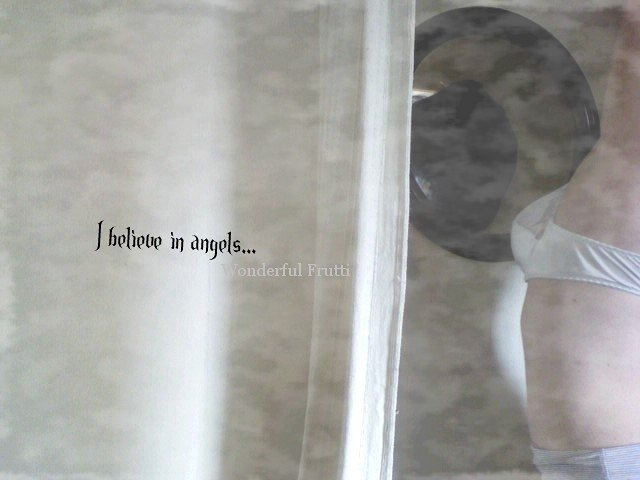 Photographie n°14