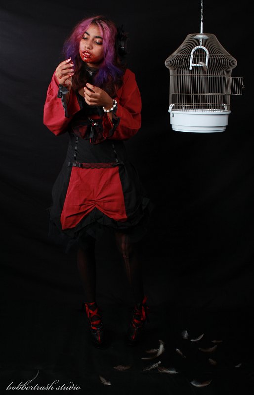 TSUKI
L OISEAU