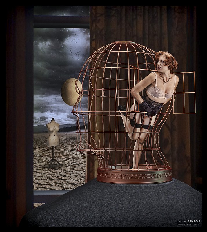 The bird