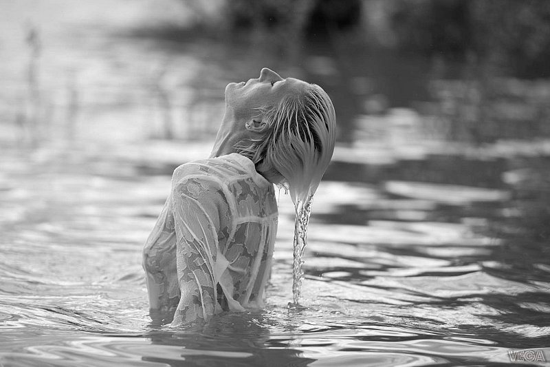 Libre