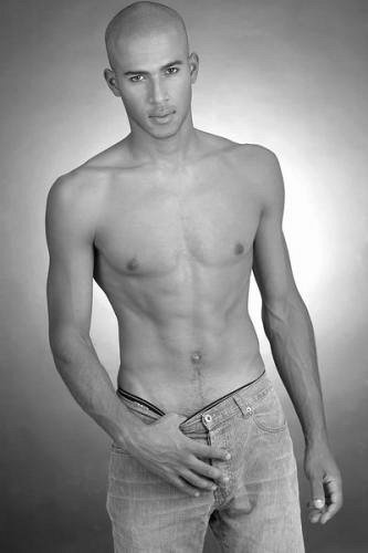 torse